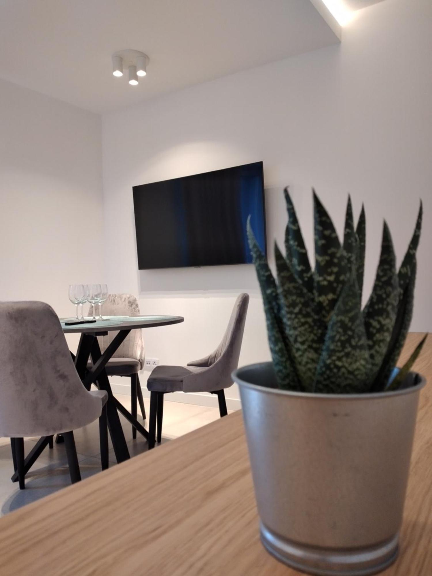 Apartament Zrodlana Ski 300M Świeradów-Zdrój Extérieur photo